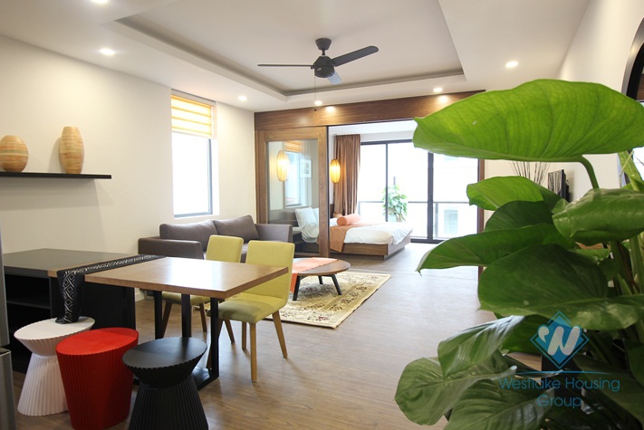 Brandnew splendid apartment for rent in Hoan Kiem